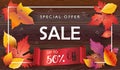 Sale Autumn leaves wood background Royalty Free Stock Photo