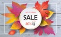 Sale Autumn leaves wooden background Royalty Free Stock Photo