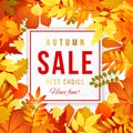 Sale banner with autumn leaves Royalty Free Stock Photo