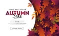 Sale banner with foliage for autumn promotions