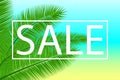 Sale banner with palm leaves. Floral tropical holidays background. Vector illustration. Hot Summer Sales design.