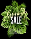 Sale banner, poster with palm leaves, jungle leaf and handwriting lettering. Floral tropical summer background. Vector