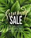 Sale banner, poster with palm leaves, jungle leaf and handwriting lettering. Floral tropical summer background. Vector