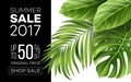 Sale banner, poster with palm leaves, jungle leaf and handwriting lettering. Floral tropical summer background. Vector