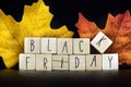 Sale and Blackfriday concept text with autumn discount sale,Seasonal Offer on black background with colorful autumn leafs