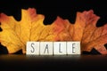 Sale and Blackfriday concept text with autumn discount sale,Seasonal Offer on black background with colorful autumn leafs