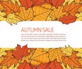 Sale and Clearance Concept Banner. Leaf Fall Background. Autumn Symbol, Icon and Badge for Web. Cartoon Vector illustration Royalty Free Stock Photo