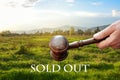 Sale concept,wooden gavel on green grass background Royalty Free Stock Photo