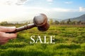 Sale concept,wooden gavel on green grass background Royalty Free Stock Photo