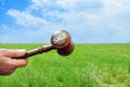 Sale concept,wooden gavel on green grass background Royalty Free Stock Photo