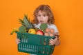 Sale and discount. Child with hopping basket, isolated on yellow background. Child with shopping basket and grocery