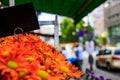 Sale of flowers. Flower Market Royalty Free Stock Photo