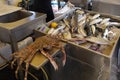 Sale of fresh fish in the port of San Remo,