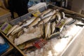 Sale of fresh fish in the port of San Remo,