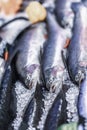 Sale of fresh fish, salmon on ice in farmers bazaar. Open showcases of seafood market Royalty Free Stock Photo
