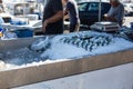 Sale of freshly caught fish and seafood in the port of Antibes France