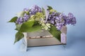 sale of lilac bouquets in a wooden box. Royalty Free Stock Photo