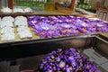 Sale of lotuses in the market of Sri Lanka. Freshness morning collection of flowers