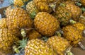 Sale on the farmers market of pineapples grown on a plantation on the island Sao miguel, Azores