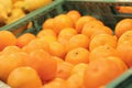 Sale of oranges in the supermarket. Citrus fruits in plastic boxes, close-up