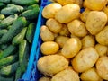 Sale of organic food products at the farmer's market. Fresh potatoes and cucumbers on the counter close-up Royalty Free Stock Photo