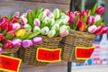 Sale of plastic Dutch tulips in the flower market Royalty Free Stock Photo