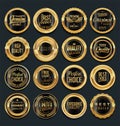 Sale retro vintage golden badges and labels