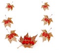 Sale sales autumn leaves falling isolated in white background 10 20 30 40 50 60 70 80 % per cent rend numbers