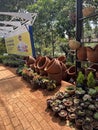 Sale of seedlings and clay pots on Lower Kabete Road in Westlands area towards Westgate in Nairobi Kenya