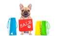 Sale shopping dog Royalty Free Stock Photo