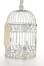 Sale tag on bird cage