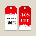 Sale tag with red torn paper texture Royalty Free Stock Photo