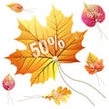 Sale tags leaves shape. EPS 10 Royalty Free Stock Photo