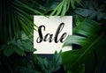 Sale text with real leaves tropical jungle background. Royalty Free Stock Photo