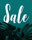 Sale text with real monstera leaves set on white background. Royalty Free Stock Photo