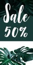 Sale 50% text with real monstera leaves set on white background. Royalty Free Stock Photo