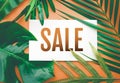 Sale text with tropical leaves in pastel color background.For pr