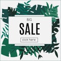 Sale Tropic banner. Design template. Tropical leaves frame with blank space paper. Advertisement, flyer, background