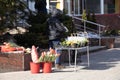 Sale of tulips on the street on March 8 in Ukraine Royalty Free Stock Photo