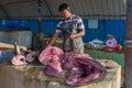 Sale of tuna in the fish market of the city of Negombo