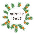Sale winter banner with christmas tree branches and berries. Holiday special offer vector illustration. Promotion Royalty Free Stock Photo