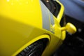 Saleen Mustang 570,Super run,yellow