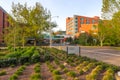 Salem Hospital in golden hour