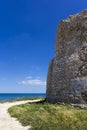 Salento, coastal tower Royalty Free Stock Photo