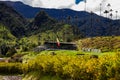 Traditional house at the beautiful cloud forest and the Quindio Wax Palms at the Cocora Valley