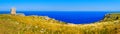 Salento countryside panoramic view watchtower coastal seascape grass Apulia Italy