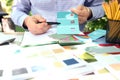 Sales agent choosing color samples for design project. Royalty Free Stock Photo