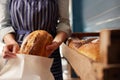 Sales Assistant In Bakery Putting Freshly Baked Organic Sourdough Bread Loaf Into Sustainable Paper Bag Royalty Free Stock Photo