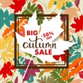 Sales banner with multicolor autumn leaves. Vector