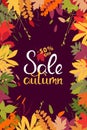 Sales banner with multicolor autumn leaves. Vector